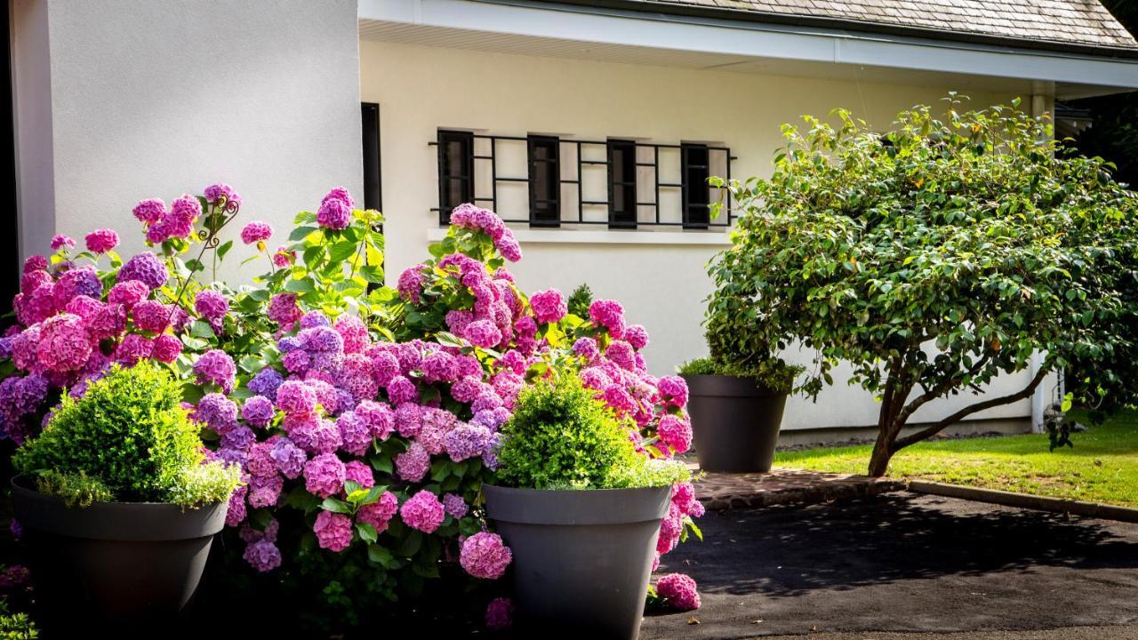 ルマン Le Champ Du Renne Bed & Breakfast エクステリア 写真
